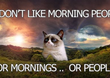 Funny Good Morning Grumpy Cat Pictures With Captions - Good Morning Images Wishes and Quotes